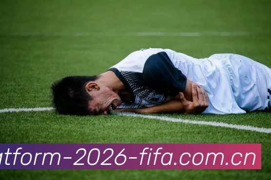 FIFA官方认证